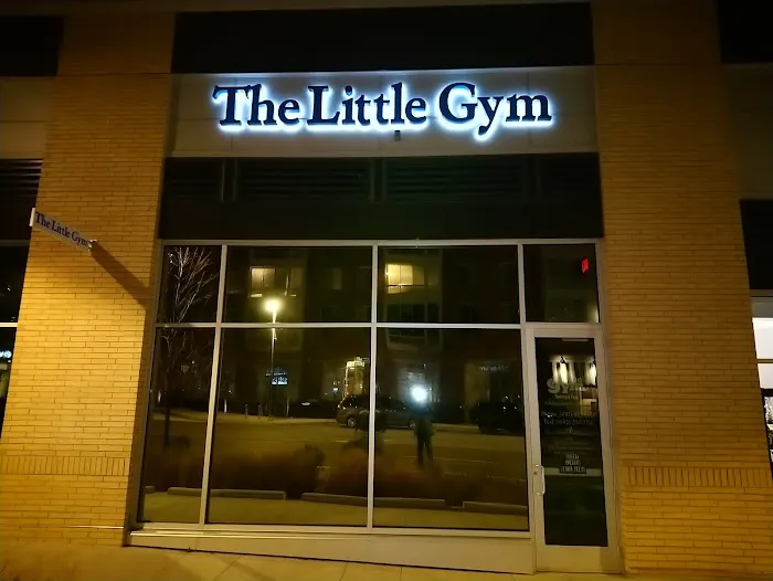 The Little Gym of Columbia, MD Picture 7