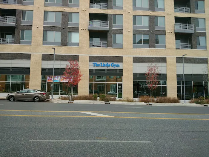 The Little Gym of Columbia, MD Picture 5