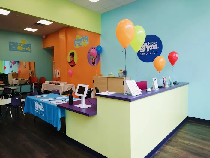 The Little Gym of Columbia, MD Picture 4