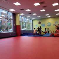 The Little Gym of Columbia, MD ico