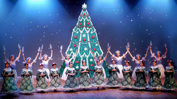 Ballet Academy Picture 7