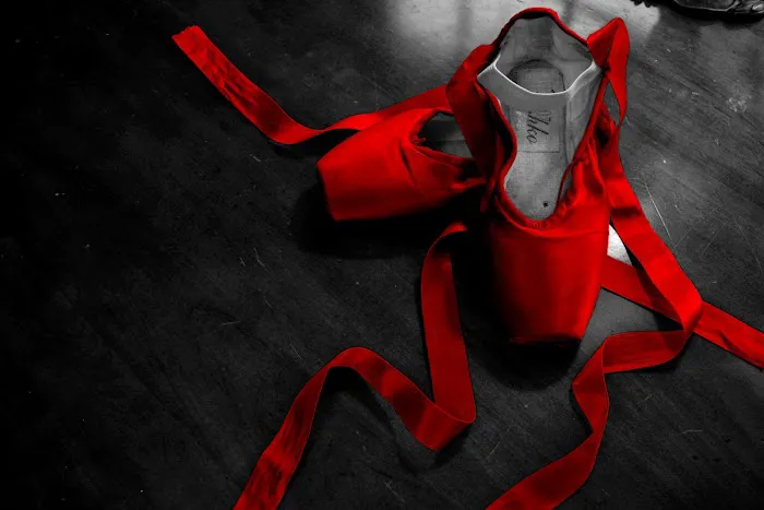 The Ballet Slipper Picture 3