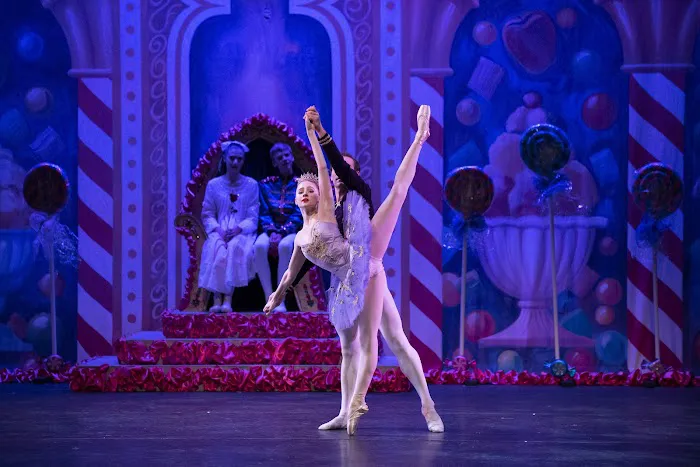 Delaware Dance Company Picture 2