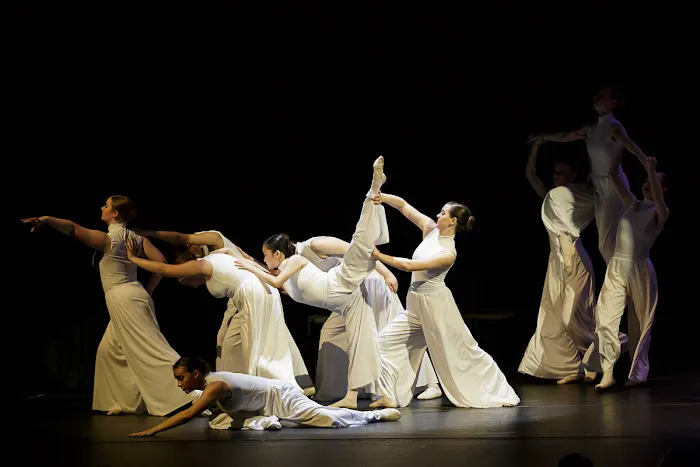 Delaware Dance Company Picture 3