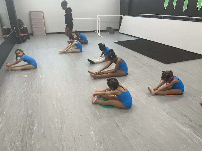Shay Fierce Dance Academy Picture 1