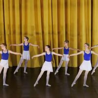 The Berwyn Ballet School ico