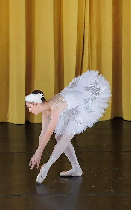 The Berwyn Ballet School Picture 8