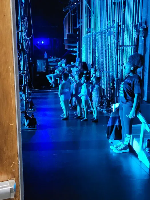 Dance Dimensions Picture 5