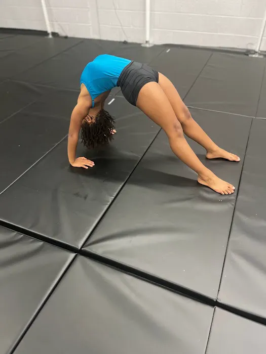 Dynamic Moves Dance Studio Picture 10