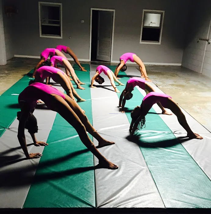 Dynamic Moves Dance Studio Picture 7
