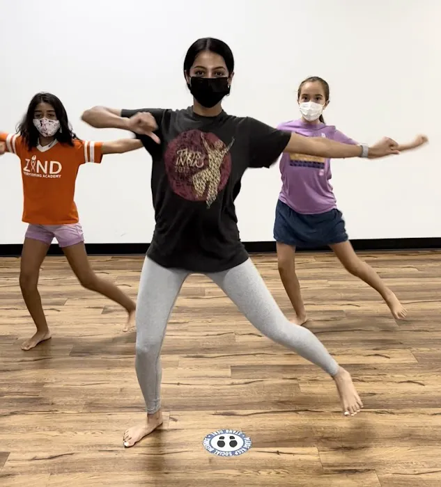 ZIND Academy (Bollywood Dance) Picture 8