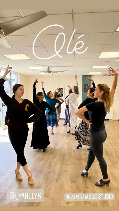Yolit Flamenco, Alma Dance Studio Picture 2