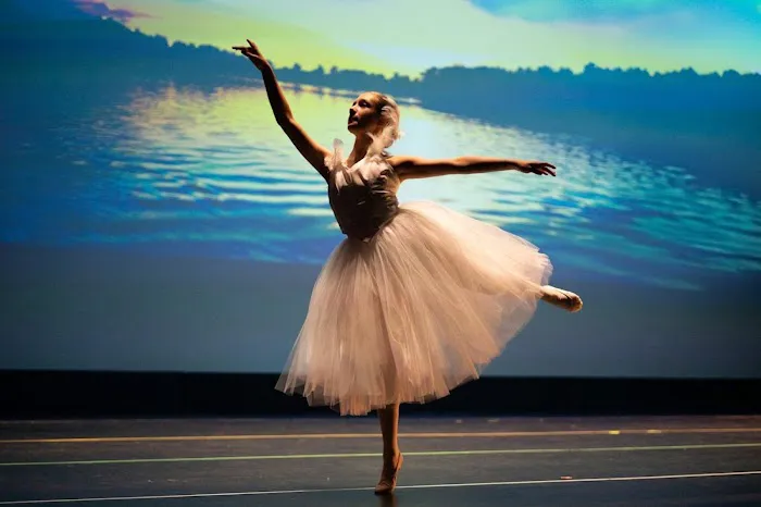 EMC Performing Arts Studio Picture 7