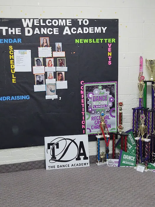 Dance Academy Picture 1