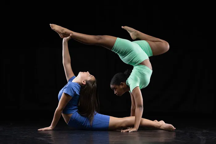DL Dance Project Picture 3