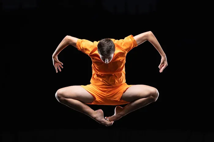 DL Dance Project Picture 7
