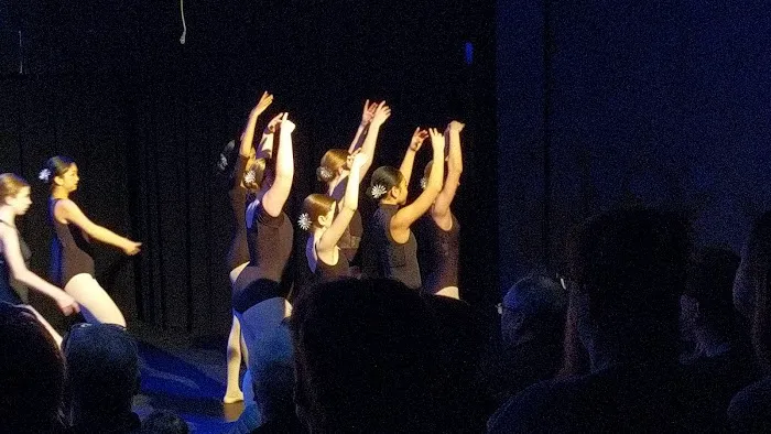 Dance Unlimited Picture 2
