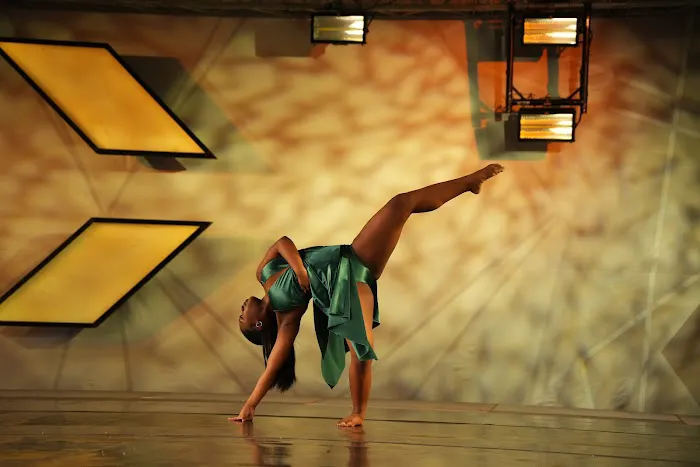 Fierce Dance Academy Picture 1