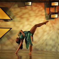 Fierce Dance Academy ico