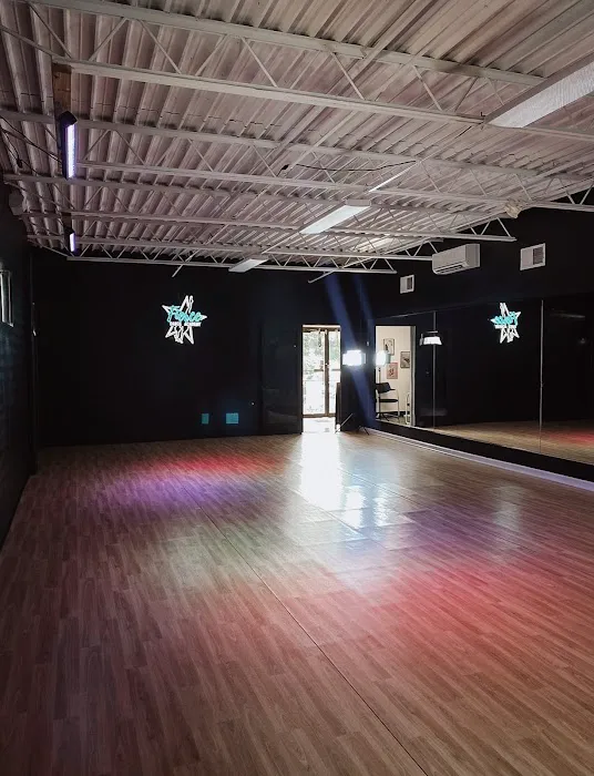 Fierce Dance Academy Picture 3