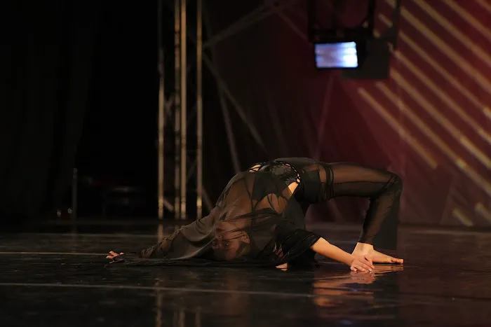 Fierce Dance Academy Picture 9