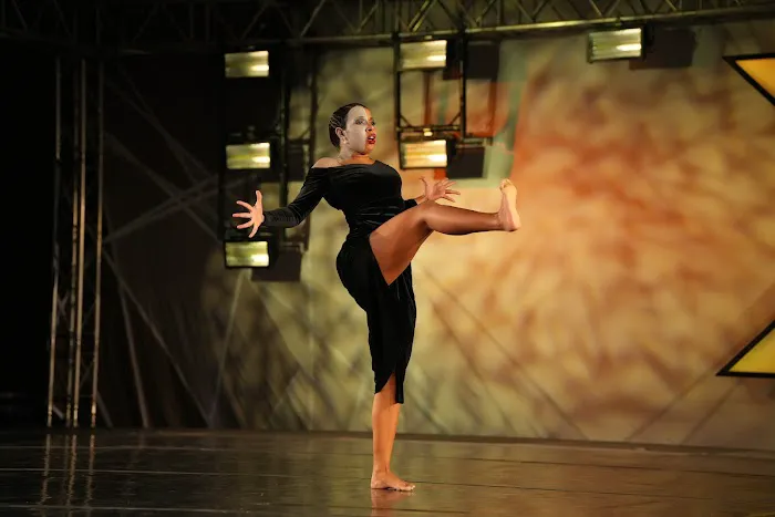 Fierce Dance Academy Picture 4