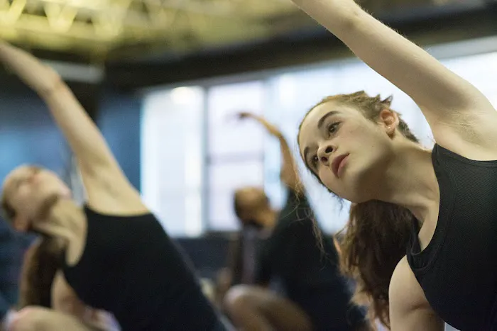 Joy of Motion Dance Center Picture 7
