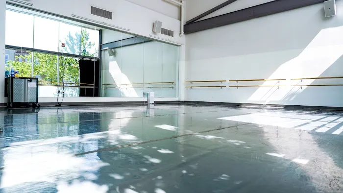 The Dance Institute of Washington Picture 5