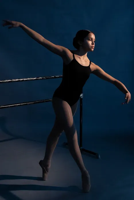 The Dance Institute of Washington Picture 2