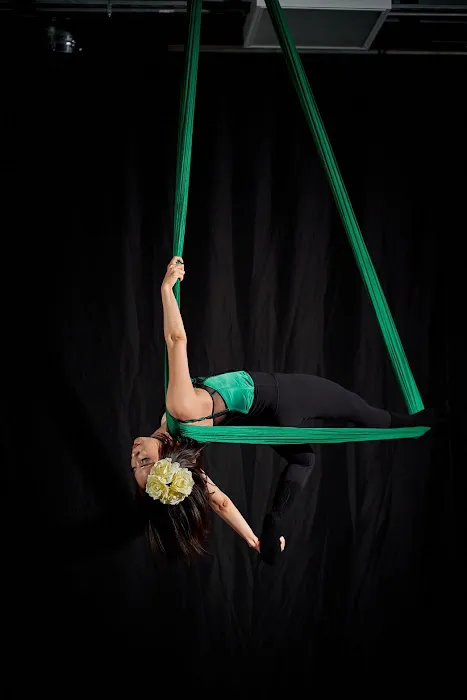 Dynamic Hammock Picture 9