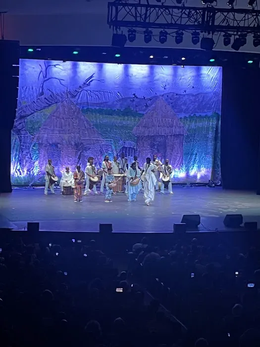KanKouran West African Dance Company Picture 4
