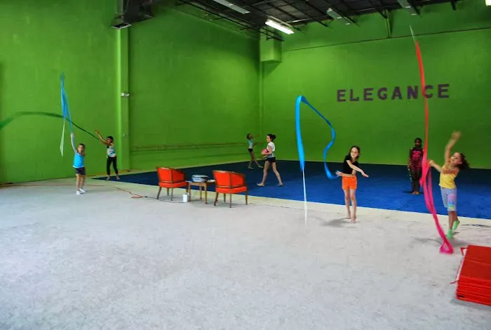 Elegance Gymnastics School Picture 1