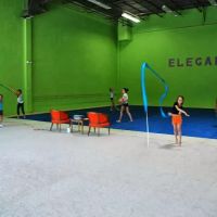 Elegance Gymnastics School ico