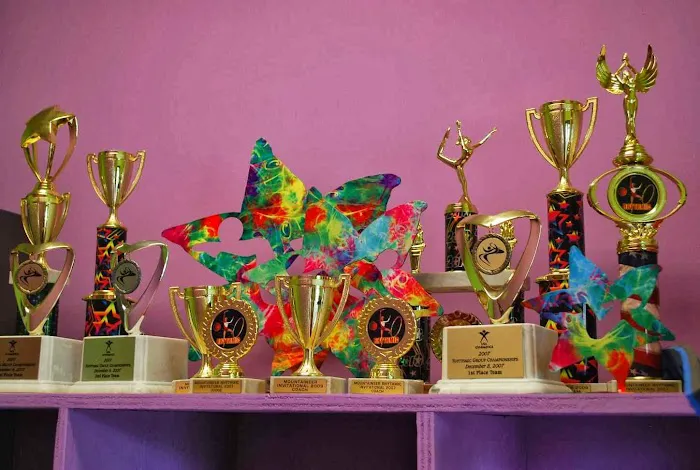 Elegance Gymnastics School Picture 7