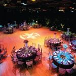 BlackRock Center for the Arts