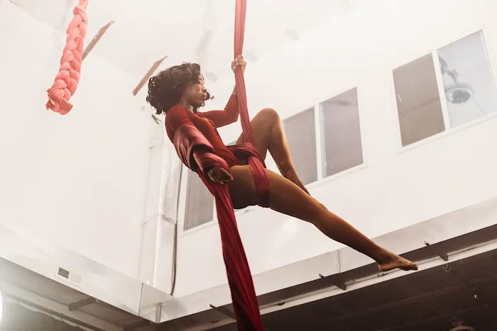 Luna Aerial Dance & Performing Arts Picture 1