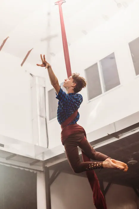 Luna Aerial Dance & Performing Arts Picture 7