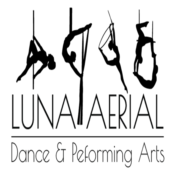 Luna Aerial Dance & Performing Arts Picture 5