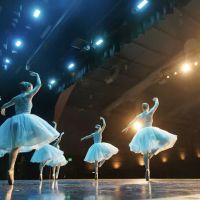 Shannon Coopers Dance Academy LLC ico
