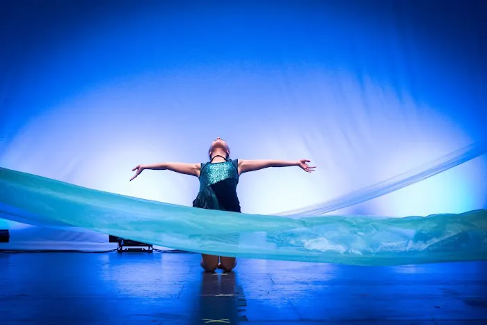 Premiere Dance Academy Picture 3