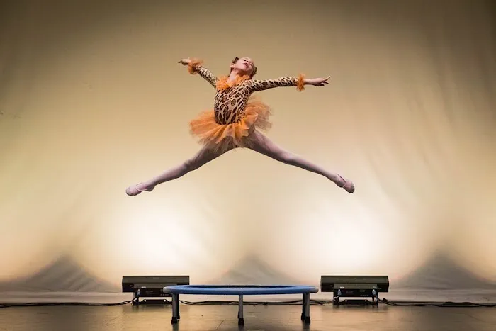 Premiere Dance Academy Picture 1