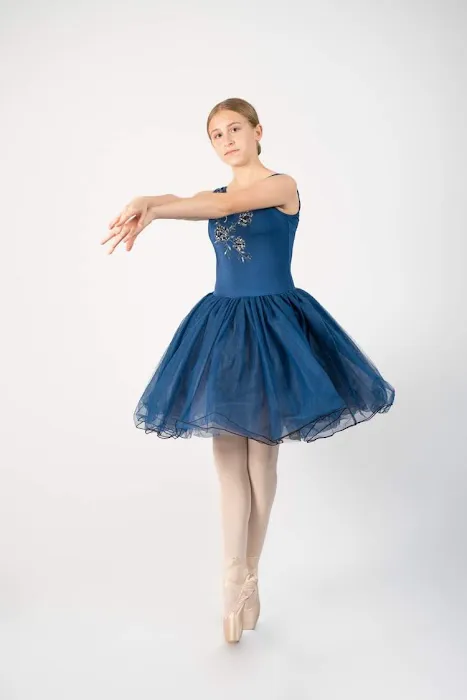 Premiere Dance Academy Picture 4