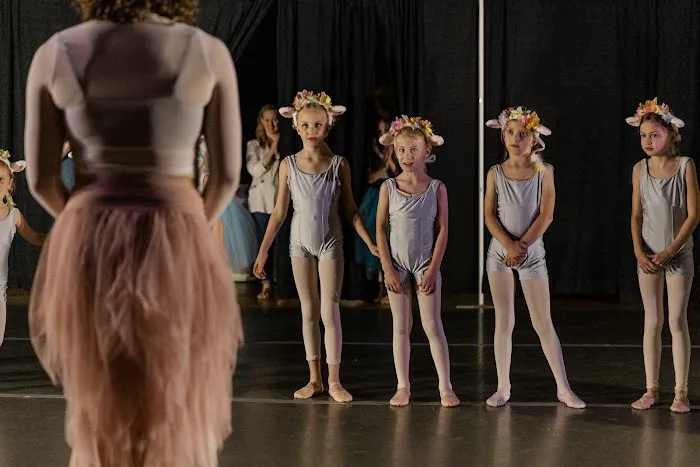 Susquehanna Dance Center Picture 5