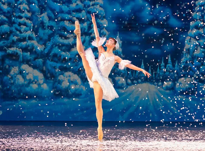 Academy of the Dance / Wilmington Ballet Picture 8