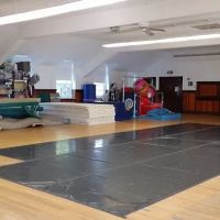 Harrison Dance & Gymnastics Studios-Downingtown ico