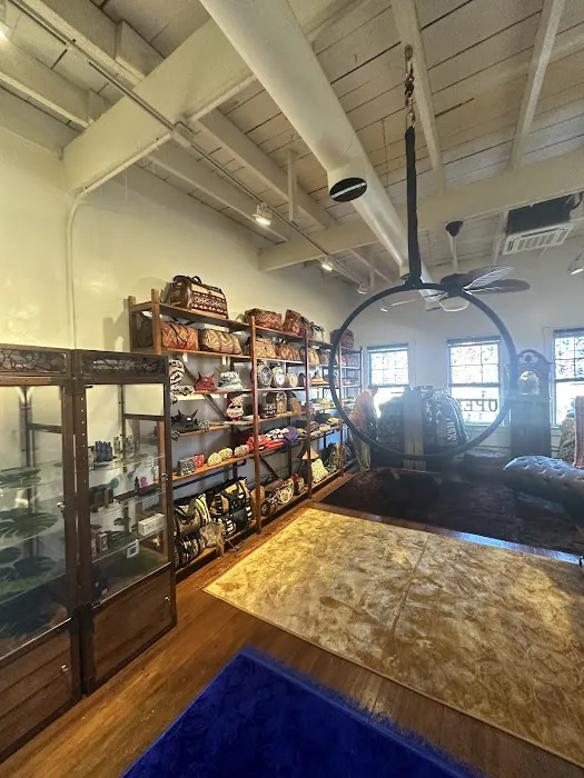 The Omni Collection Picture 8