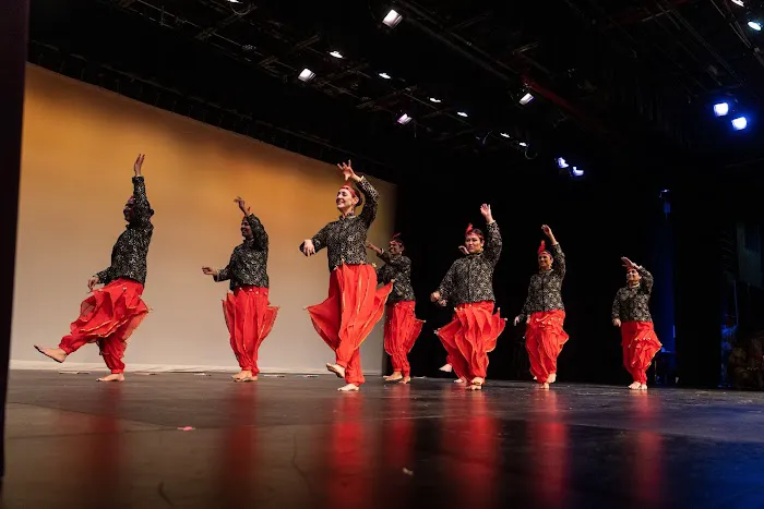 TAAL ACADEMY OF DANCE Picture 6
