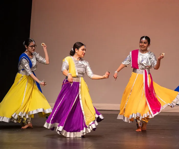 TAAL ACADEMY OF DANCE Picture 10