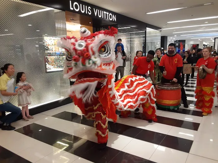 Lion / Dragon Dance Washington DC Picture 5