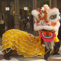Lion / Dragon Dance Washington DC ico